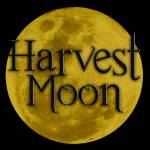 . Harvest Moon . Profile Picture