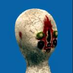 momomura zehetbauer Profile Picture