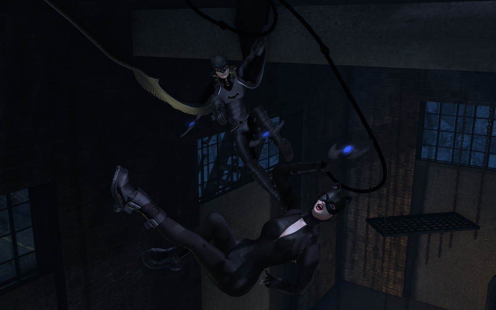 The Bat vs The Cat