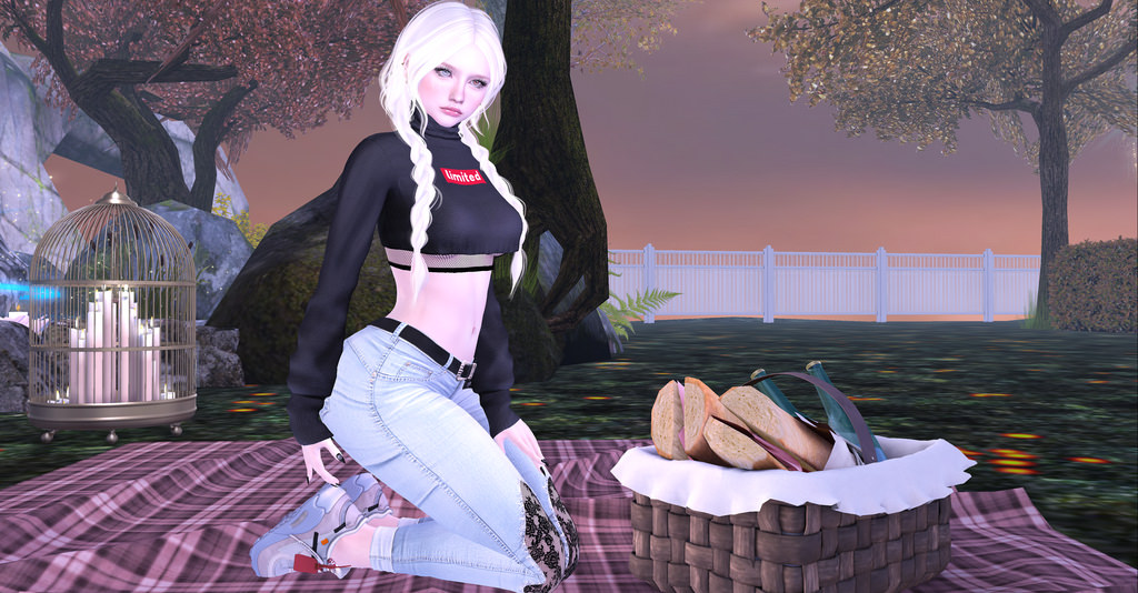 Picnic