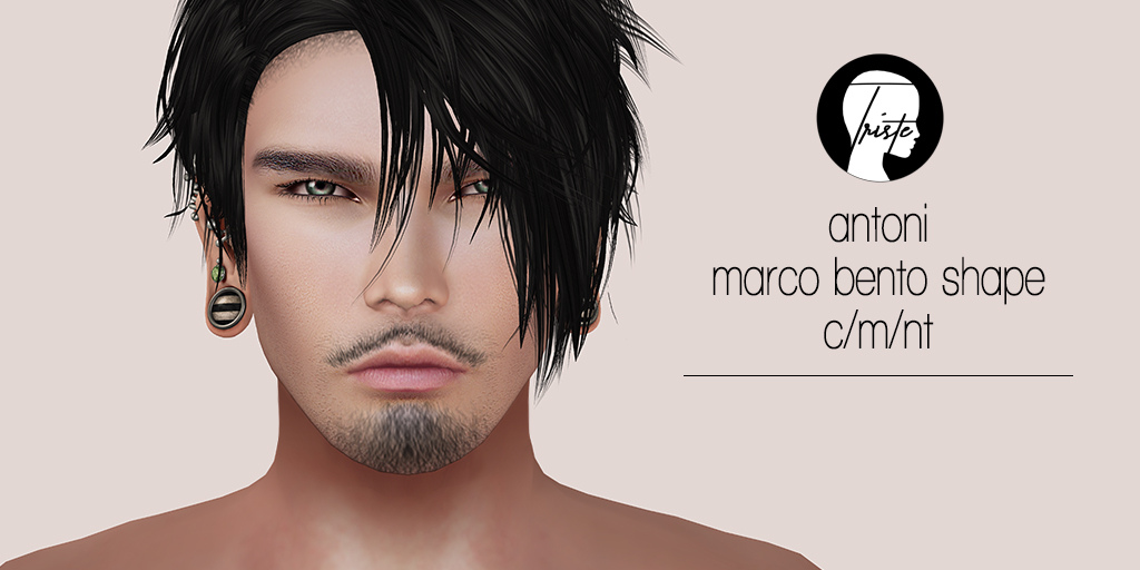 Triste Antoni Bento Shape