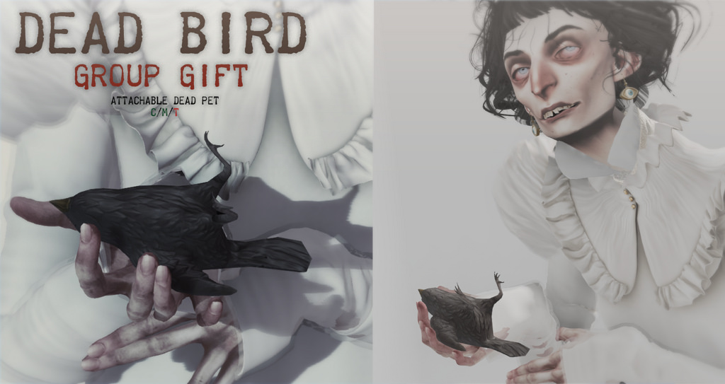 Dead bird gift