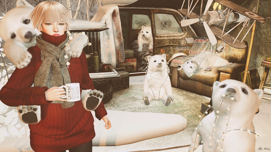 Bear's camp