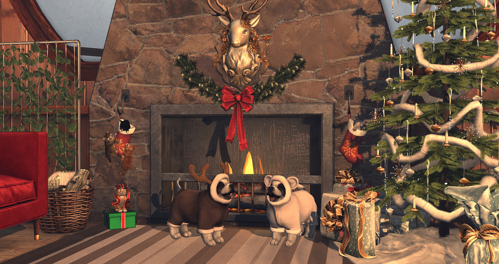 Christmas Pooches