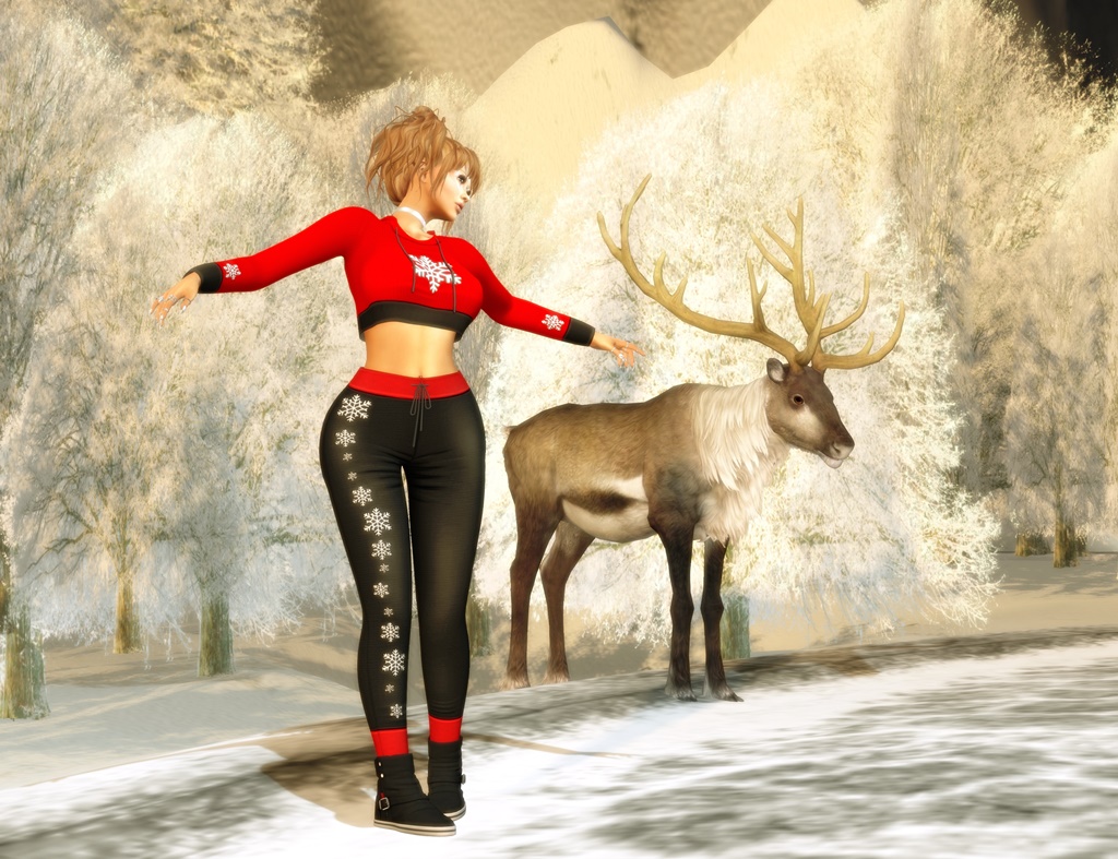 #598 At Winter village – Sunday Whitewood