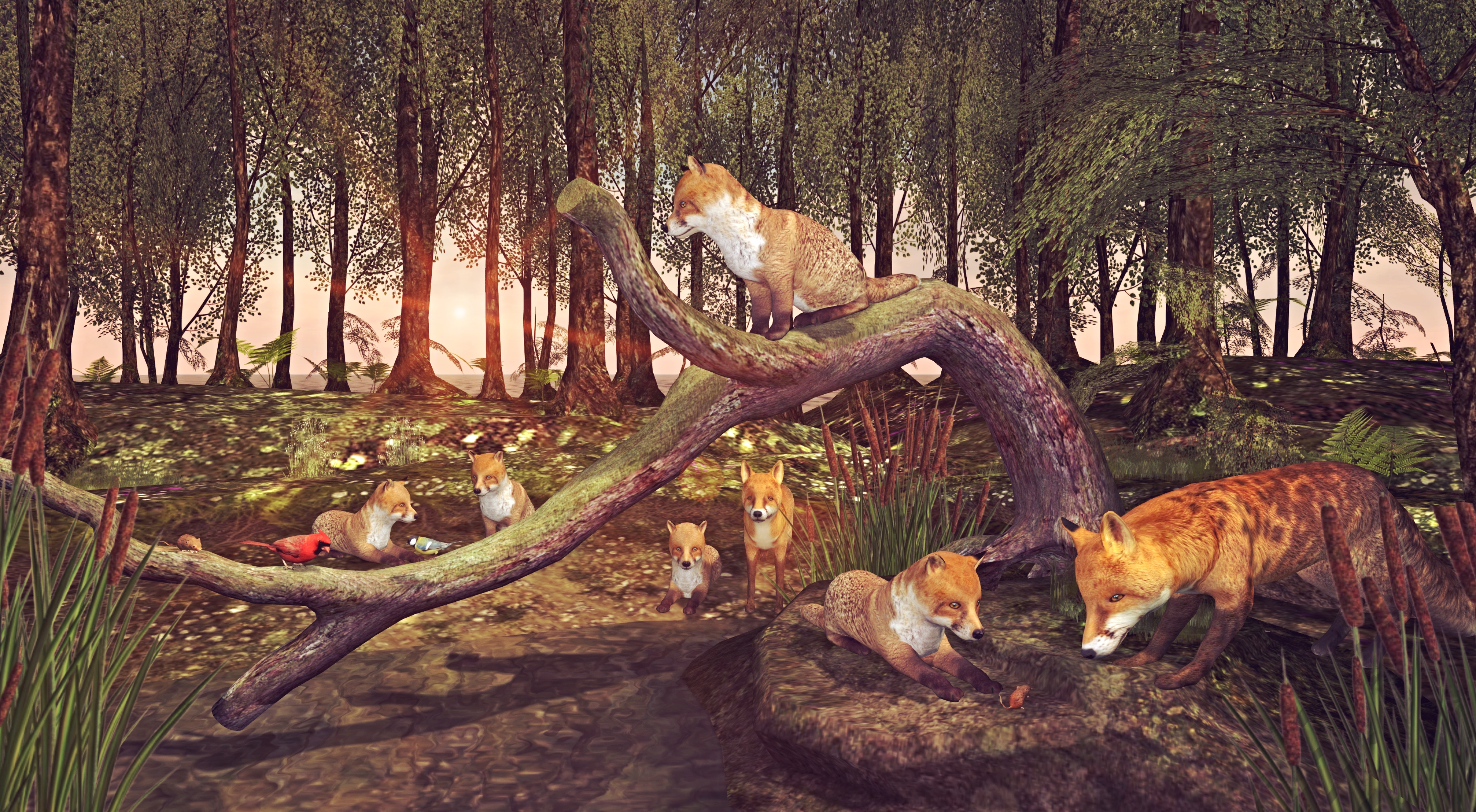 Kits, Not Kats – Pretty Things, Nice Life!