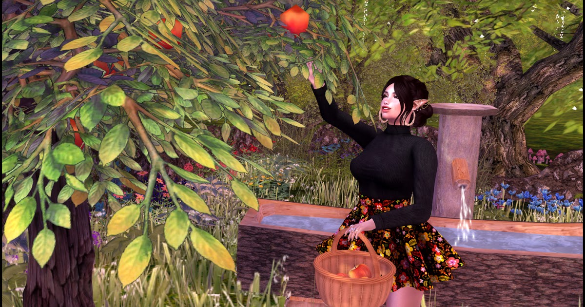 Aziza Style: ❤  Kitty Apple…