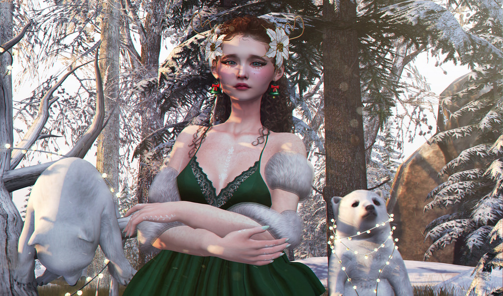 Out in the winter wood