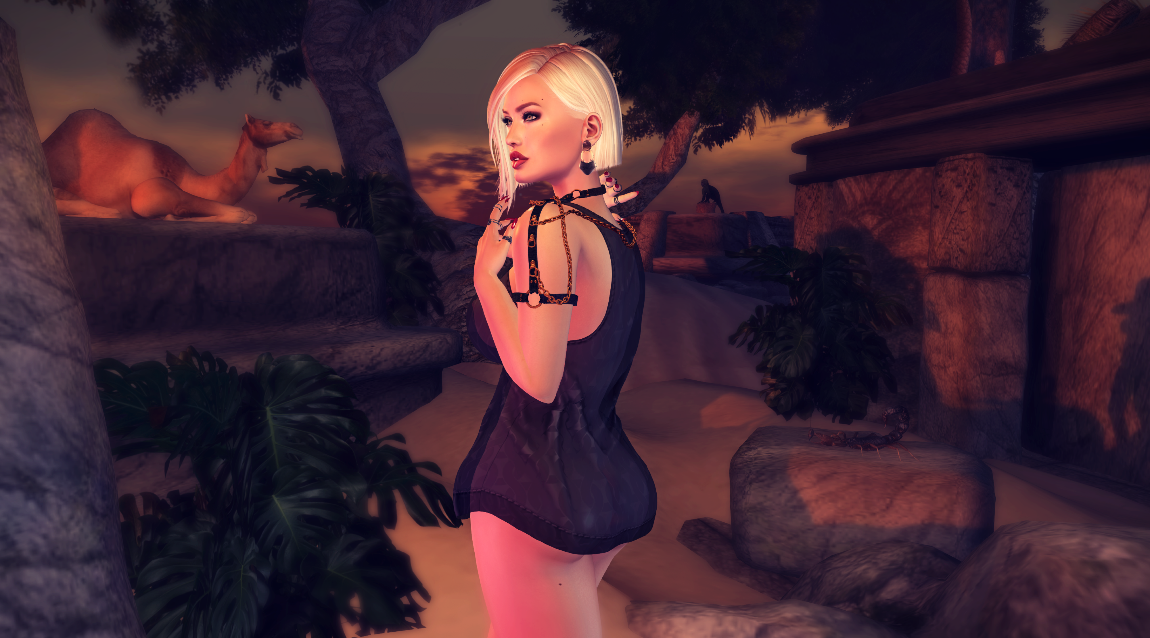 Midnight At The Oasis – Pretty Things, Nice Life!