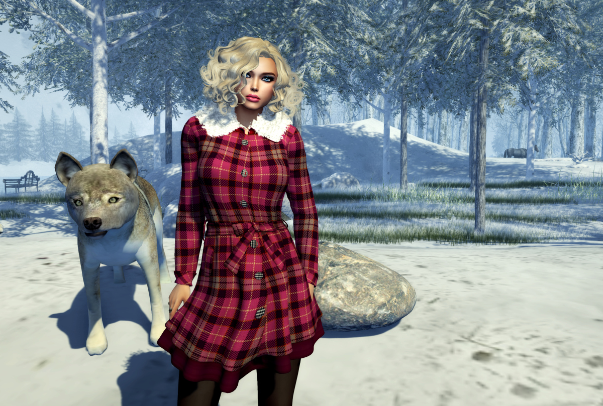Snow  feeling – Isabelle Cheren
