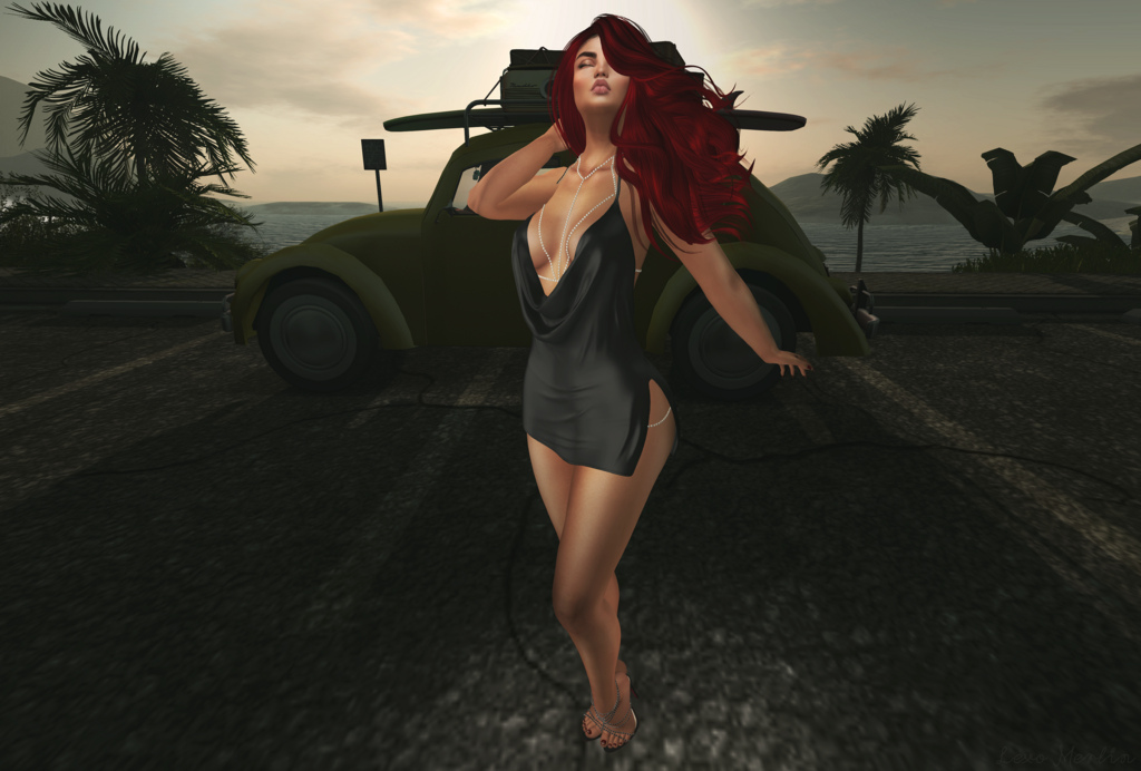 # Lex # 3298 – Lexo Merlin