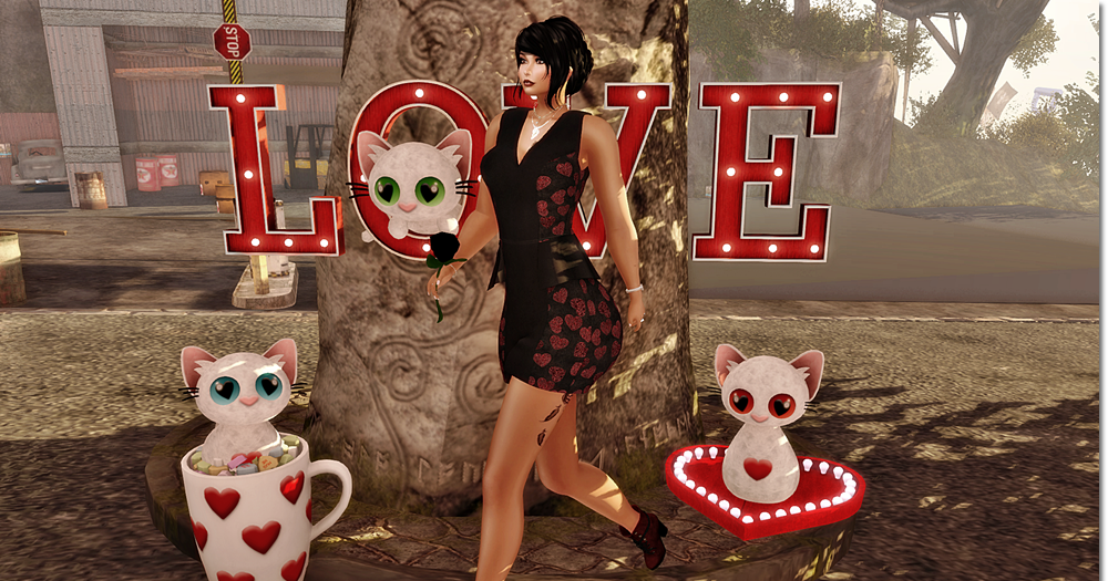 Fashion-Style-Glam: * Love, Love cats *