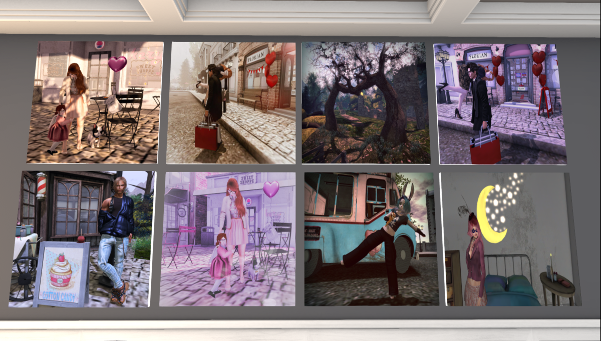 Vote on the Photo Contest – Havendale Village