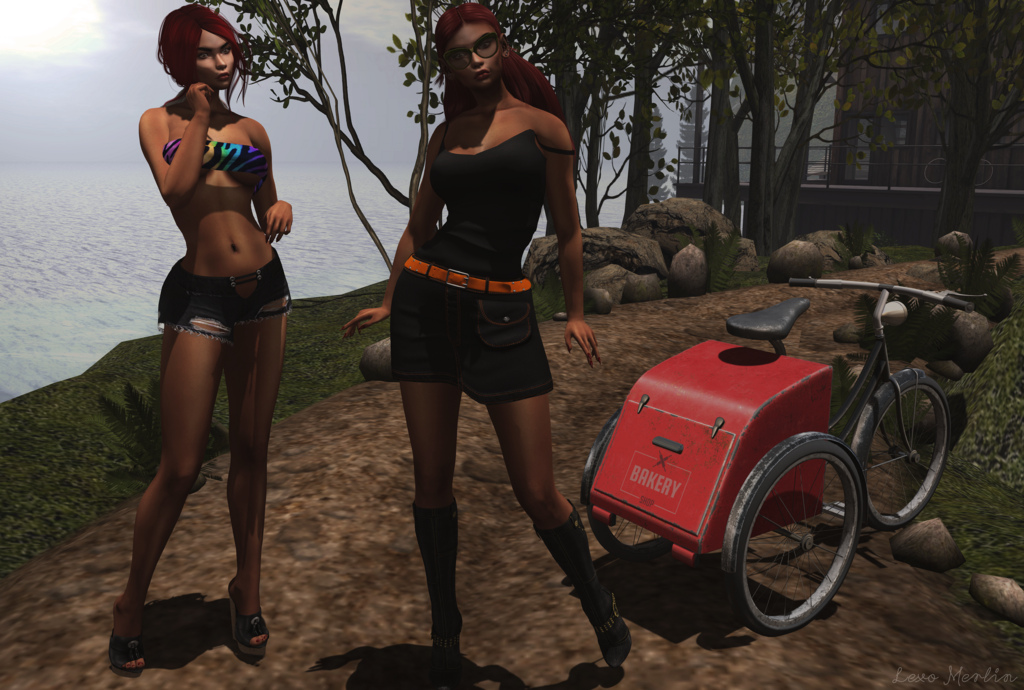 # Lex # 3357 – Lexo Merlin