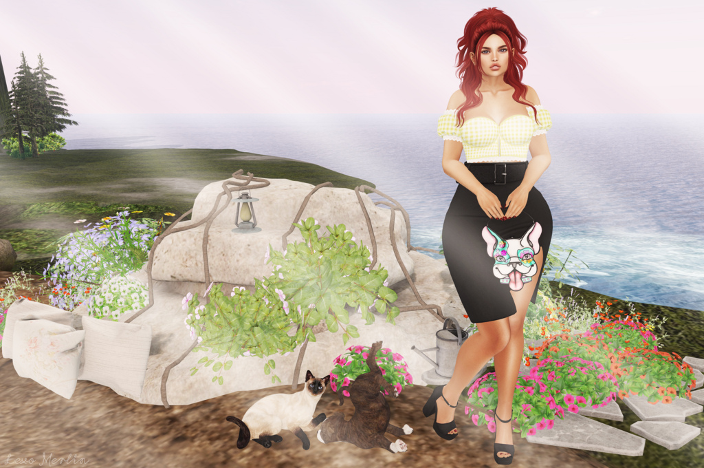 # Lex # 3373 – Lexo Merlin