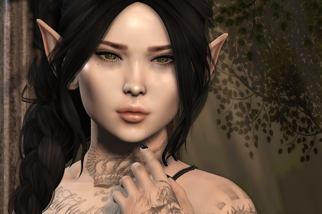 New Beginnings | Powder Pack & Dark Side Fair - Love - Craft - Blog