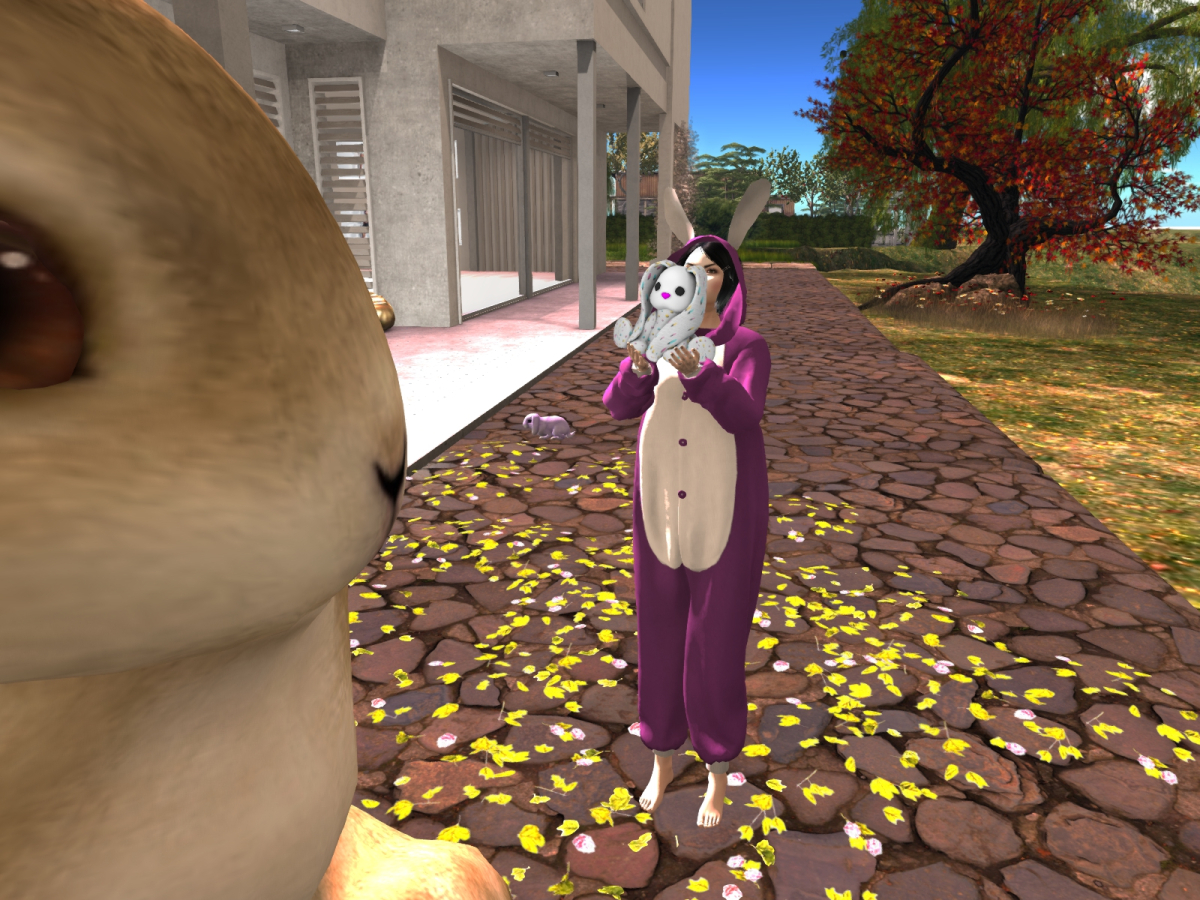 Easter Bunny | Akasha Sternberg´s  Blog