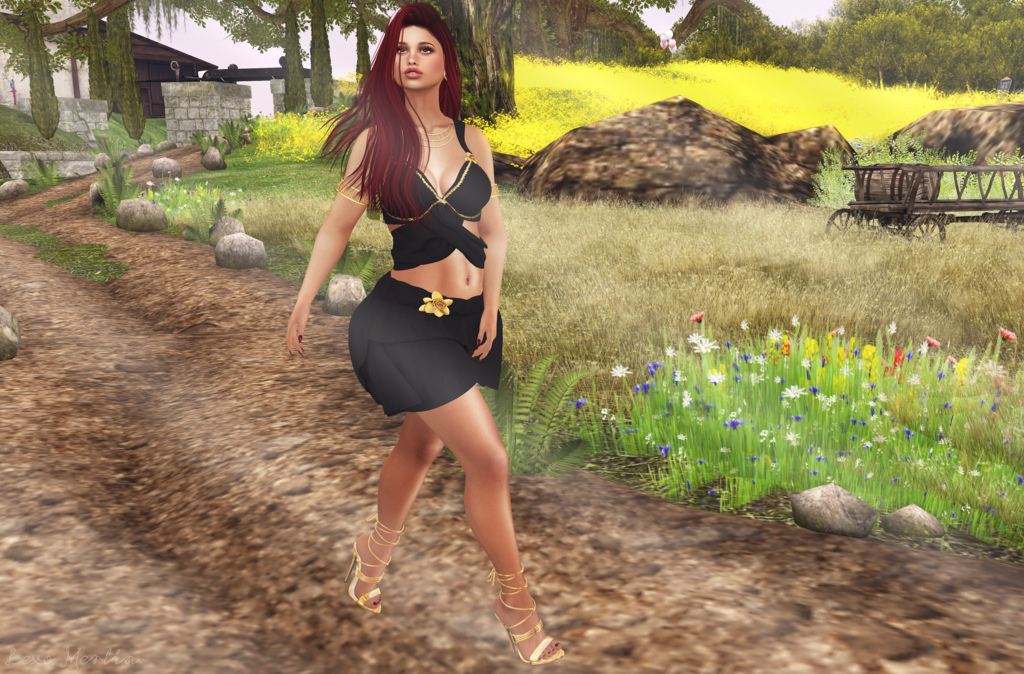 # Lex # 3380 – Lexo Merlin