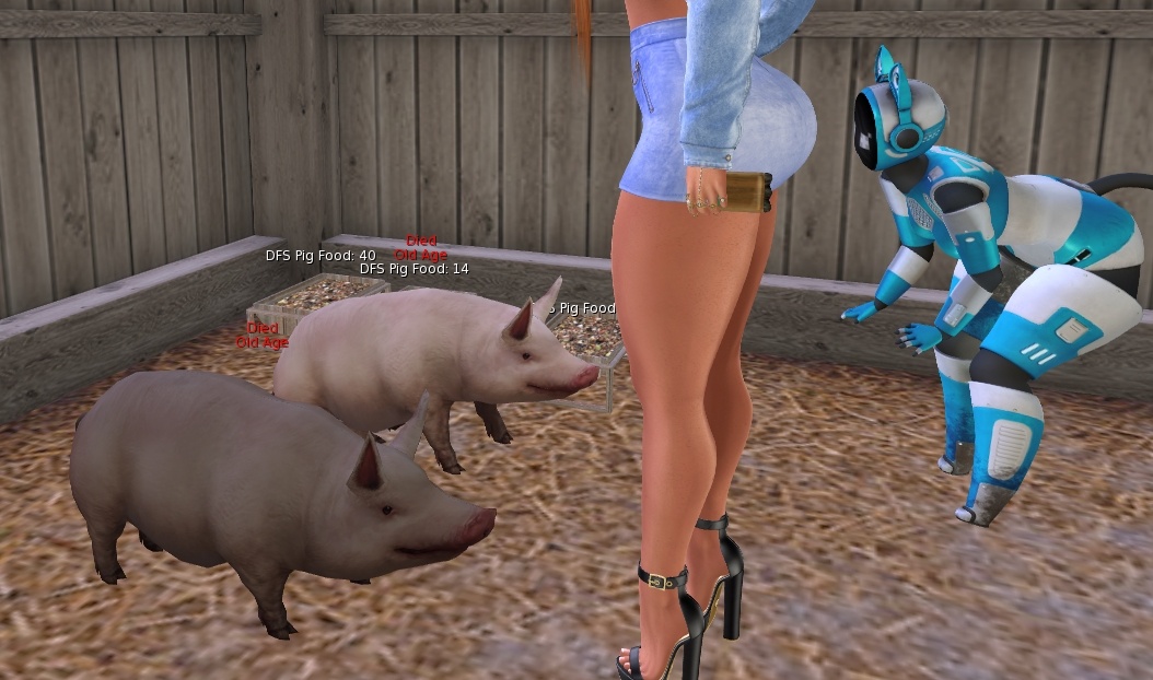 Screenshot - 1196ca6a553f26be434f20a82fa76aeb - Gyazo