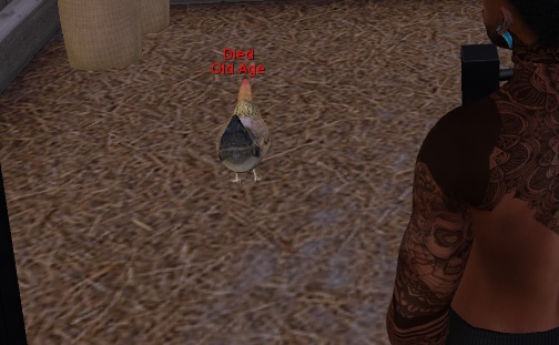 Screenshot - 796065a3f9be0be5e010d01dedcebd10 - Gyazo