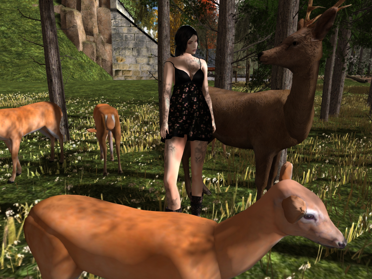 Black flowery spring | Akasha Sternberg´s  Blog
