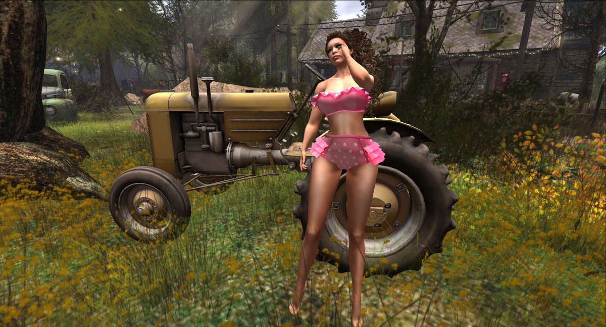 Tractor – Gwennies Fashion Statements