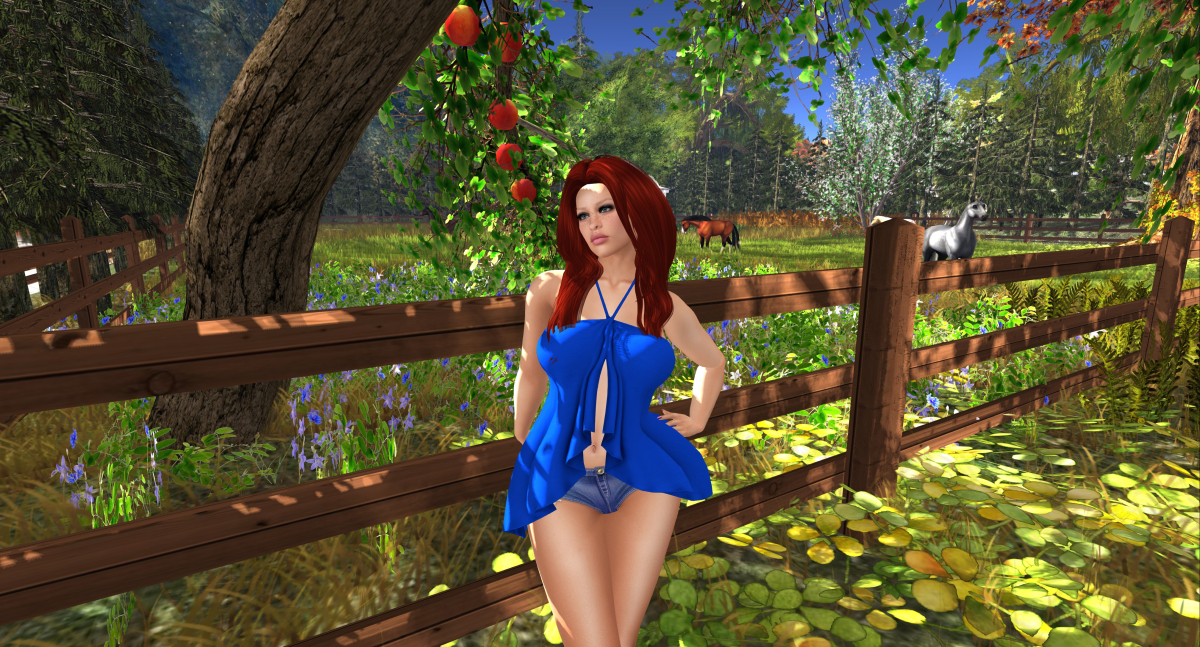 Horses – Gwennies Fashion Statements
