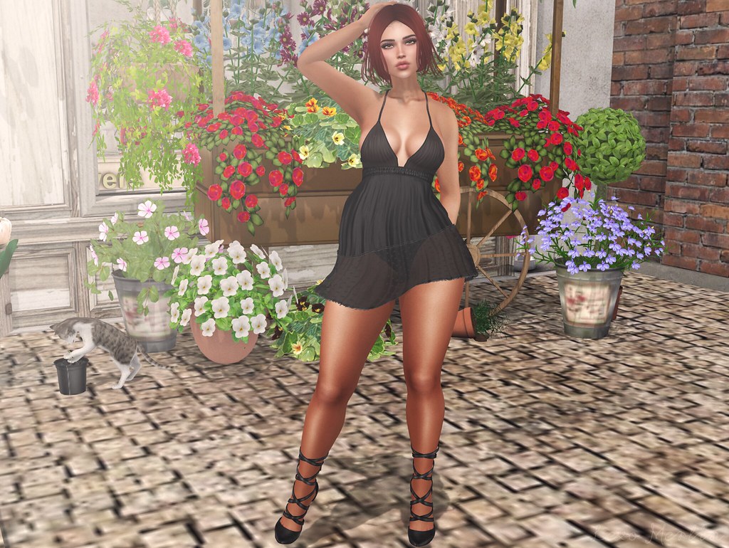 # Lex # 3598 – Lexo Merlin