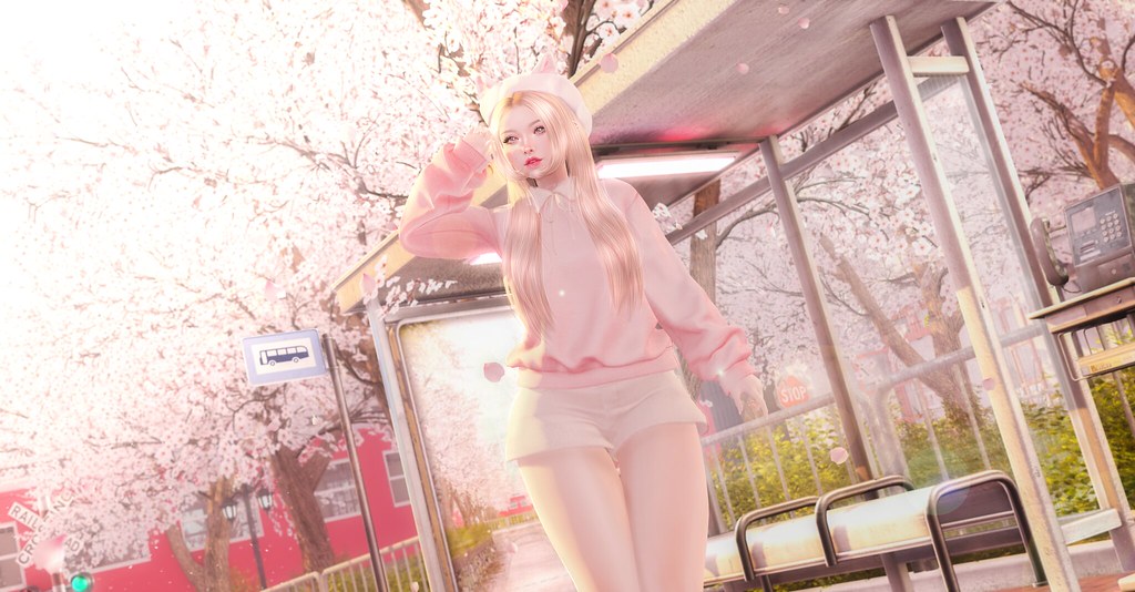 「 Sundays 」