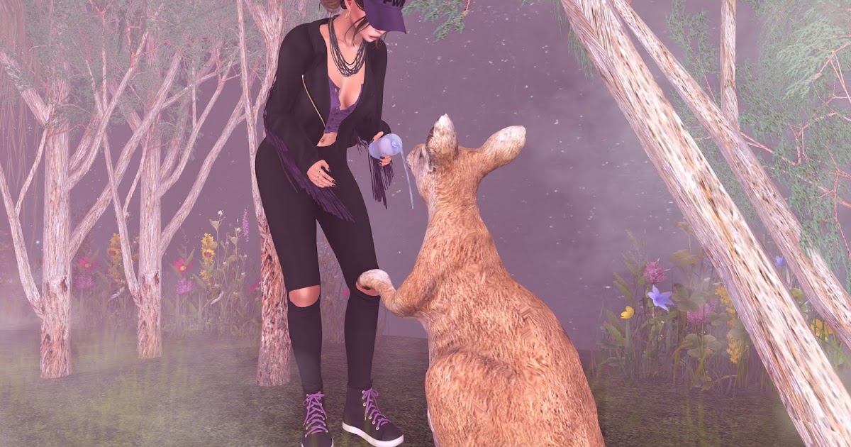 Aziza Style: ❤ Please Help The RSPCA in Australia