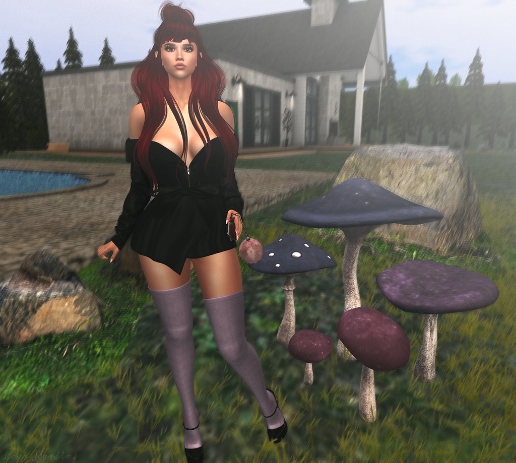 # Lex # 3804 – Lexo Merlin