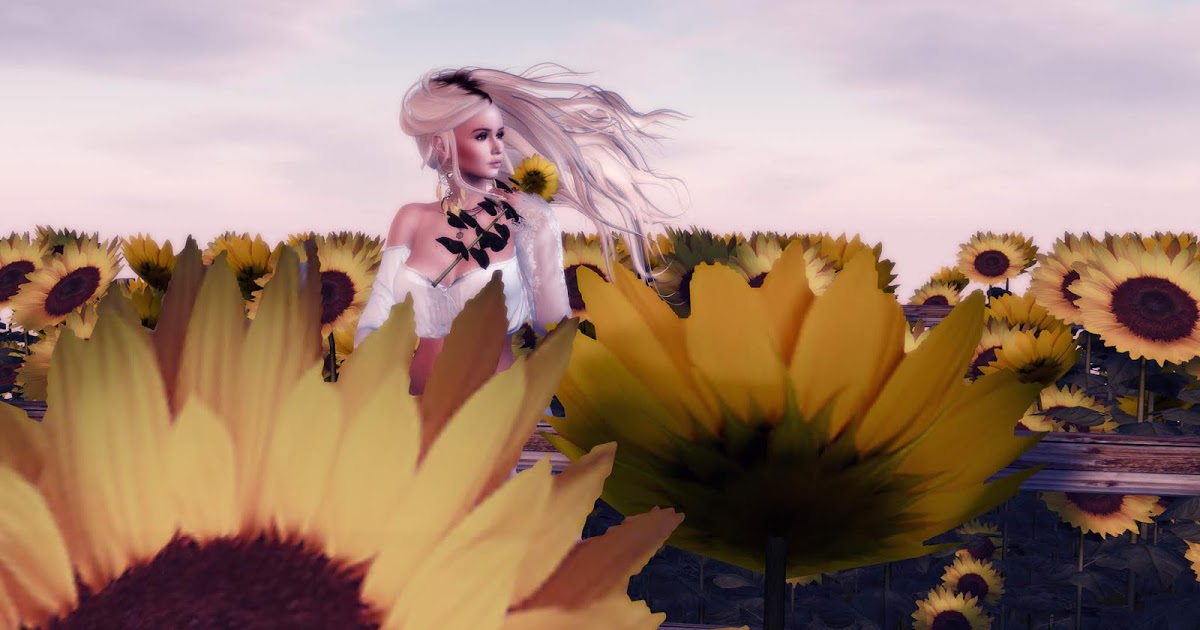 Aziza Style: ❤ Sunflower
