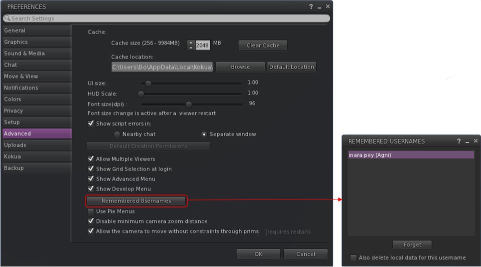 Kokua: 6.3.6 release overview – Inara Pey: Living in a Modem World