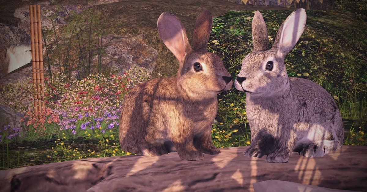 Spring Revival | Rissa's Second Life