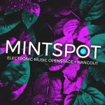 Mintspot Profile Picture