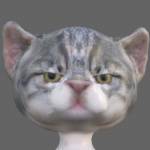 Panacea Pangaea Profile Picture