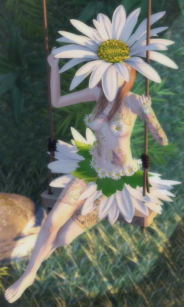 daisy