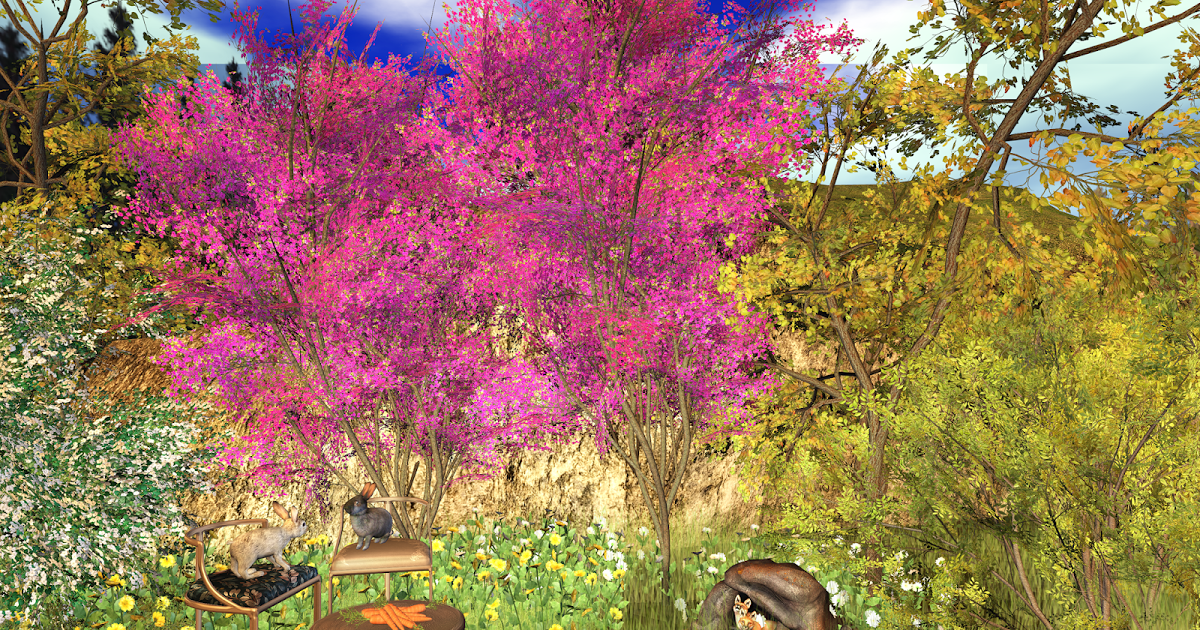 At Home with Aerlinniel: While the People are Away the Animals Will Play
