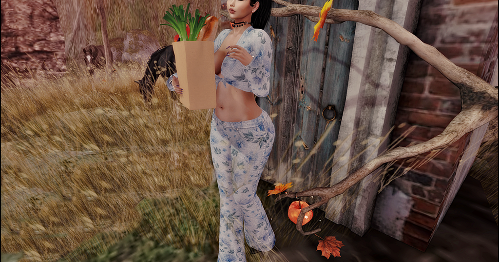 Fashion-Style-Glam: *OUTFIT GIFT by MOoH & WoW Skins in Fly By Friday Event*