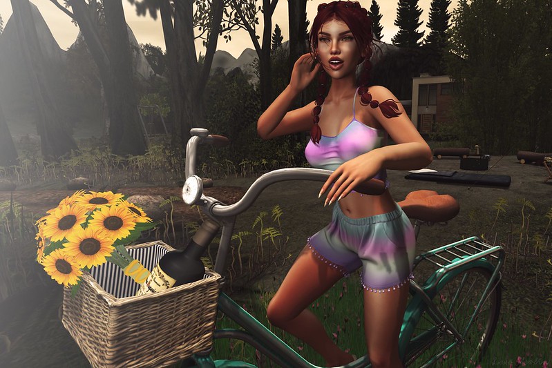 # Lex # 3966 – Lexo Merlin