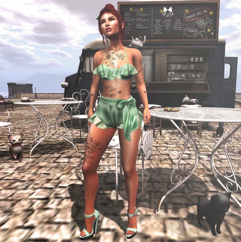# Lex # 3969 – Lexo Merlin