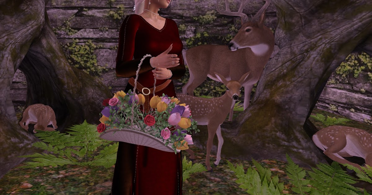 Aziza Style: ? Cloe Fawn ?