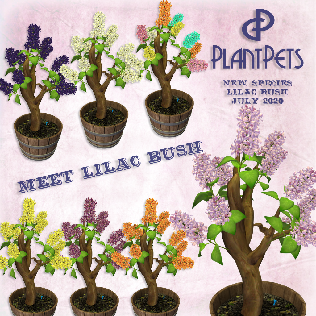 New PlantPet Old Glory!! ~Second Life~ Happy 4th of July!! – Magick Thoughts ❤ Second Life and Real Life