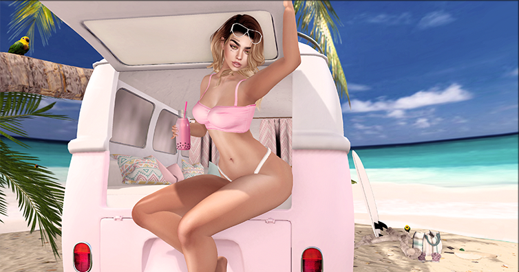 Fashion Flair SL:   ? 583 ? Wild and Free ...
