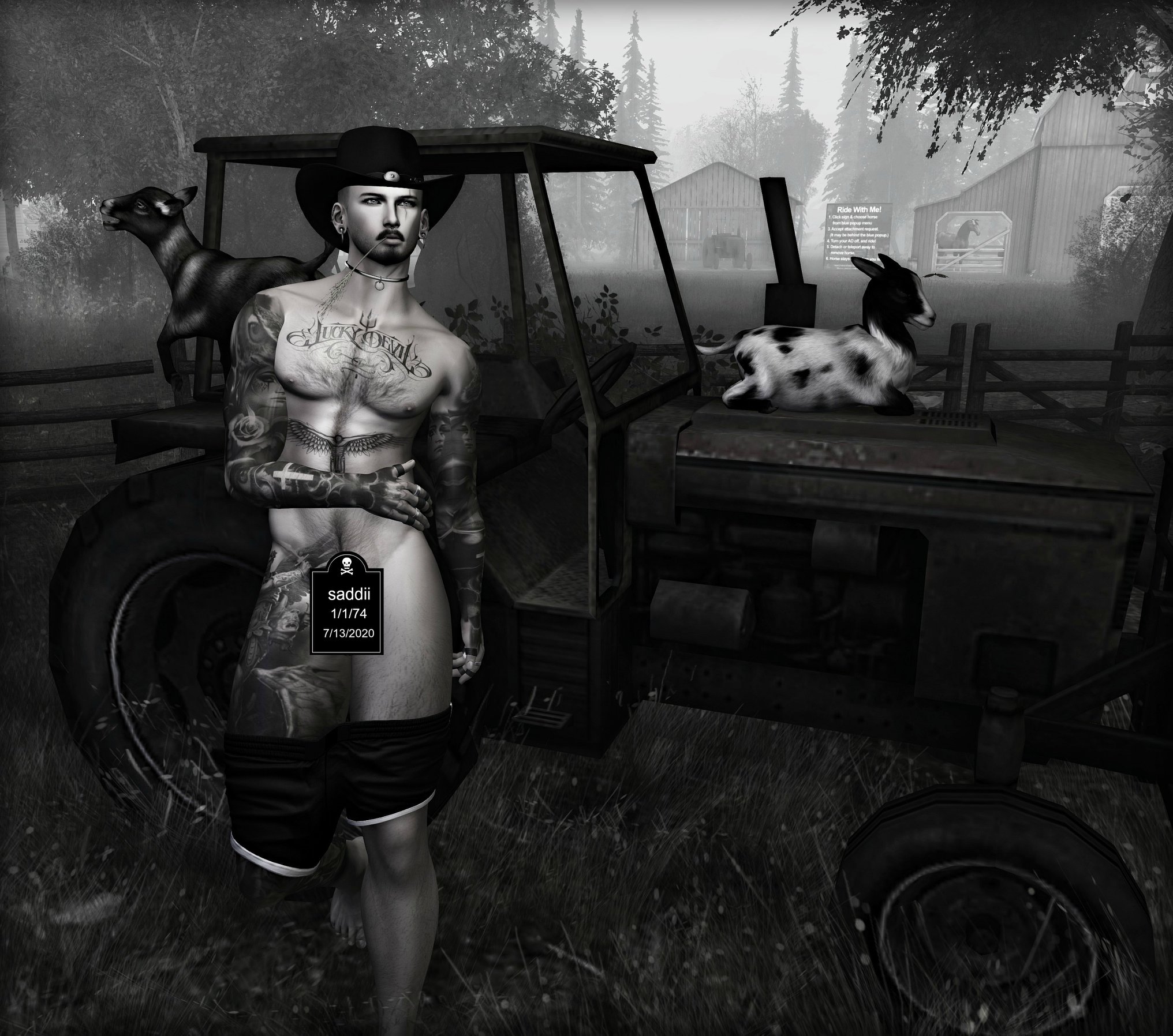HOW FARM BOYS RELAX WHEN NO ONE IS... - Saddii Kristopher Michael | Facebook
