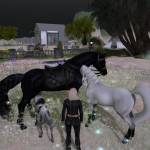 Darkover Tone Profile Picture