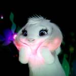 Jenni Windrider Profile Picture