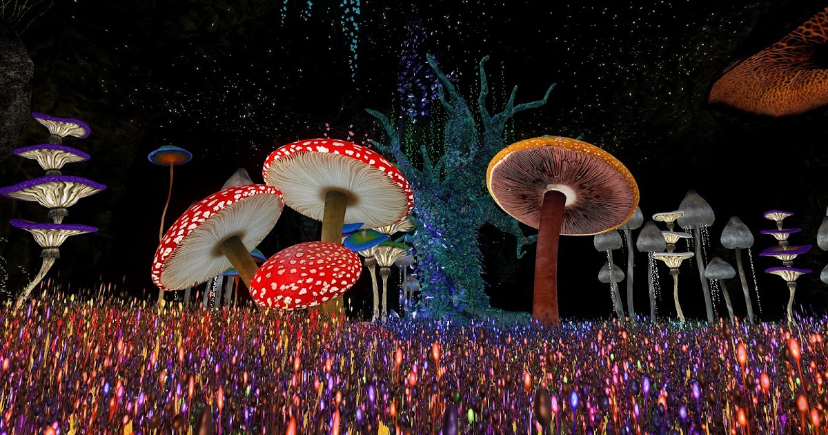 Echt Virtuell: Simtipp: [WONDERLAND 2.0]
