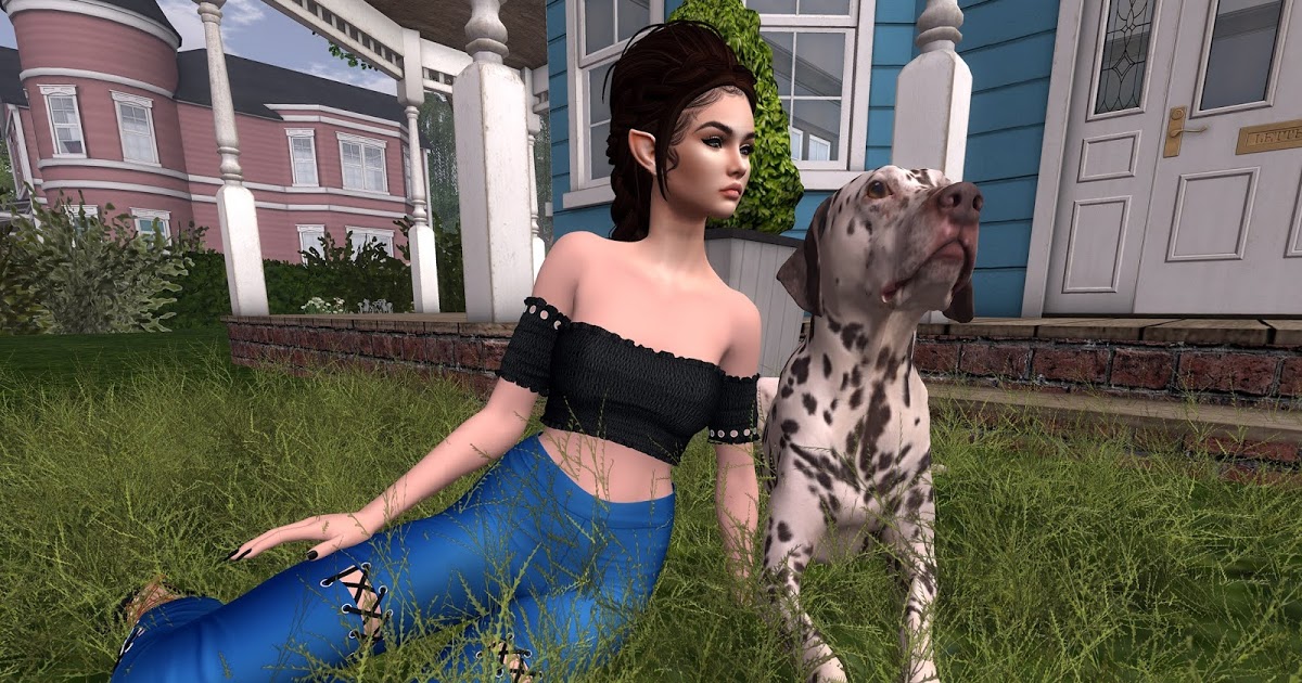 Aerlinniel's Adventures - Mainstream : Front Lawns and Spotted Dogs