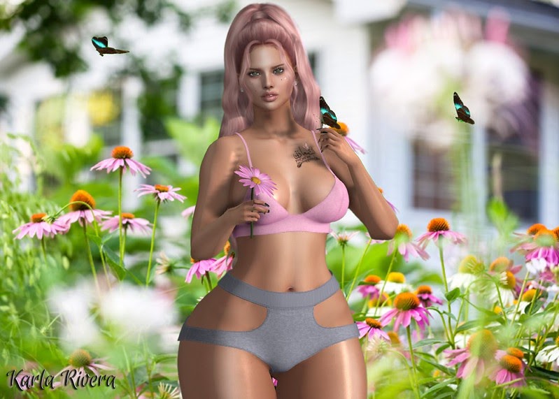 Fashion Flair SL: → 685 →  Daisies..